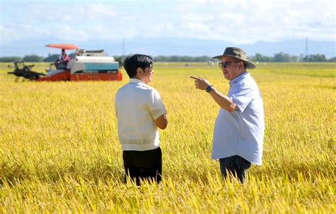 Gov't ramps up rice production, imports in El Niño year