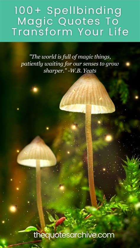 Image result for Quotes On Human Connection