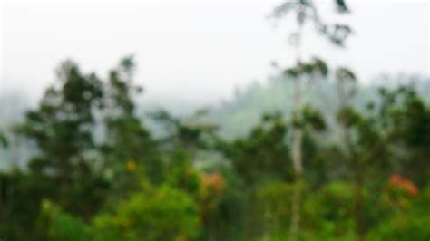 Meeting Background 的图像结果