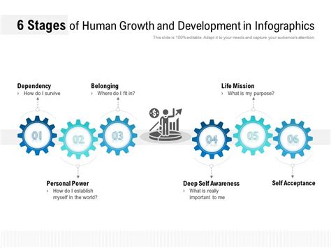 Image result for Human Development Stages Chart