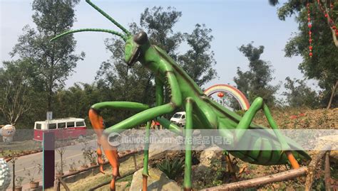 大型昆虫模型制作商 - 玻璃钢昆虫雕塑 - 景盛龙翔