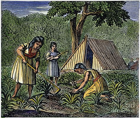 Native American Tribes Agriculture And Livelihood Projects
