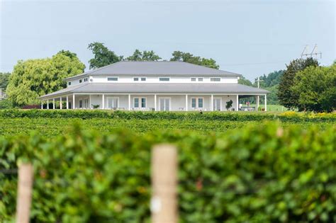 Anthony Road Celebrates 35 Years - Seneca Lake Wine Trail