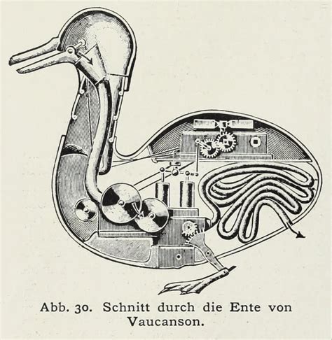 Image result for Digesting Duck