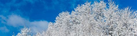 Image result for Events and Event Handling From the Body Elements in JavaScript and HTML and CSS