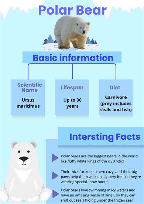 Best 13 108 Fun Polar Bear Facts For Kids – Artofit