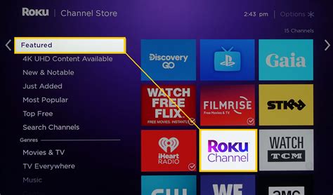 Roku Local Channel Codes 的图像结果