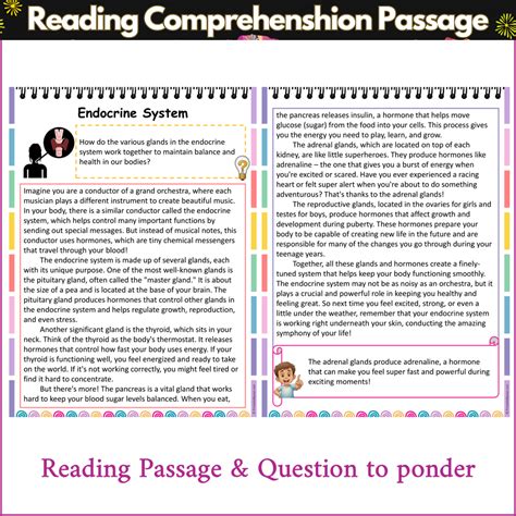 Endocrine System | Reading Comprehension Passage and Questions ...
