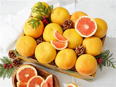 Red Ruby Grapefruit How to Grow Perth 的图像结果