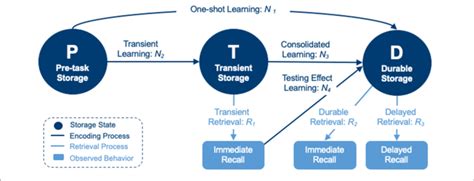 Image result for Bayesian Cognitive Model