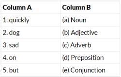 Parts of Speech Class 6 Worksheet English Grammar