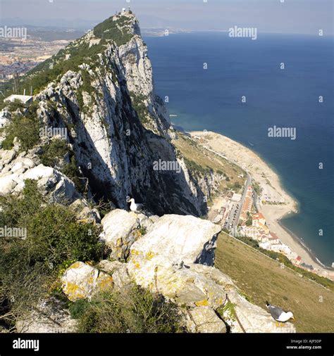 The Summit of the Rock of Gibraltar summit highest point looking down ...