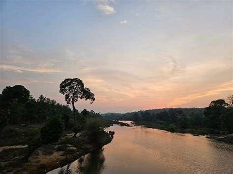 THENNAL JUNGLECAMP PVT LTD (Kattikkulam) - Cottage Reviews, Photos ...