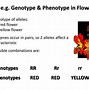 Image result for Monogenic
