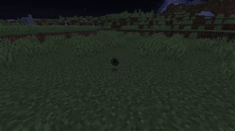 Image result for Minecraft Structure Mods