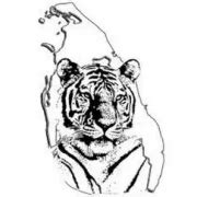 Tamil Eelam Radio — listen online live streaming