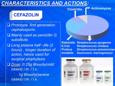 CEPHALOSPORINS | PPTX