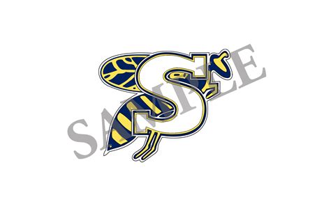 Stephenville ISD Branding Guide – Communications – Stephenville ...