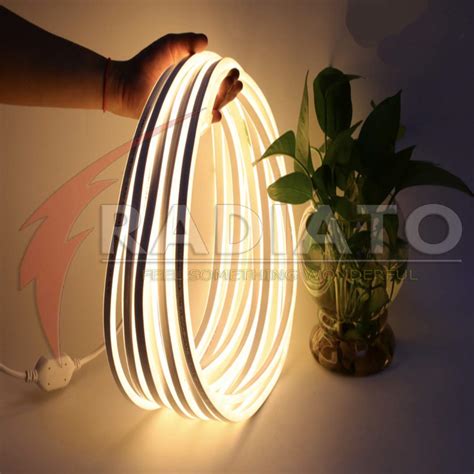 Buy Radiato ES 230V A.C Neon led Rope Strip Lights, Waterproof Outdoor ...