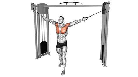 Image result for Cable Machine Workout