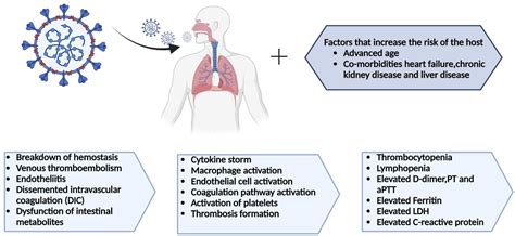 Pathological Effects of SARS-CoV-19 Associated With Hematological ...