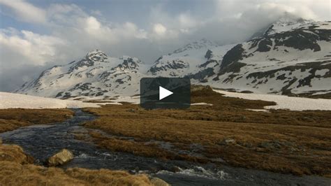 Vimeo 4K 的图像结果