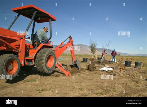 Image result for Planting Tree with Backhoe