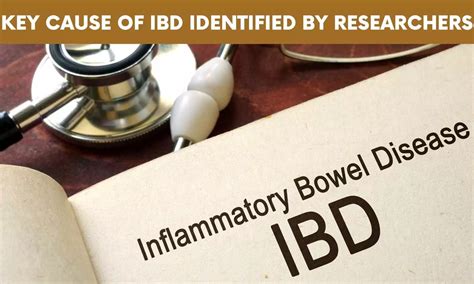 Key Cause of Inflammatory Bowel Disease Identified by Researchers