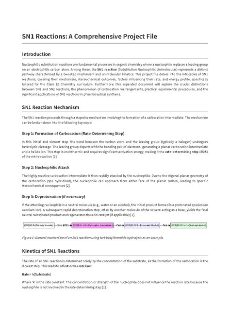 SN1 Reactions: A Detailed Project File for Class 12 Chemistry - Studocu