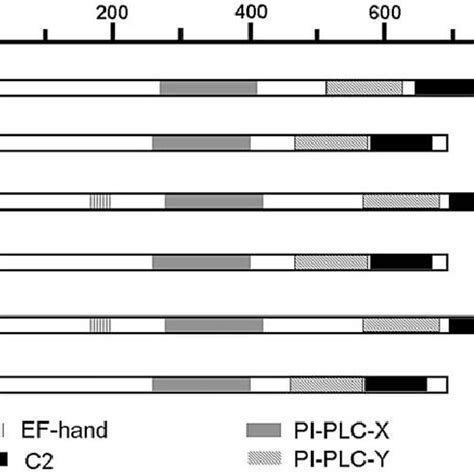 Image result for Domain Join Architecture