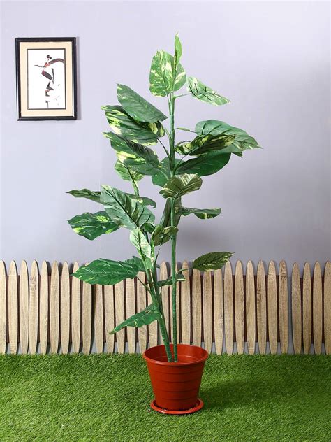 Buy Pollination Artificial Phothosphilo Green Plant Without Pot (L 94 ...