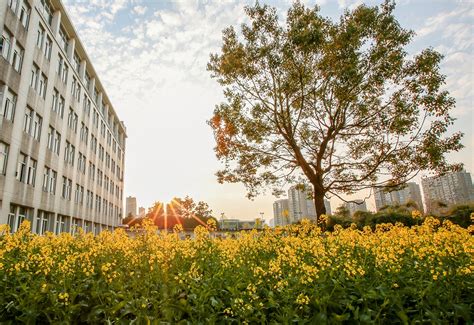 浙大城市学院