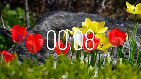 Image result for 10 Min Spring Timer