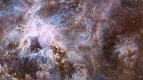 James Webb Telescope, Chandra Observatory snap astonishing Tarantula ...