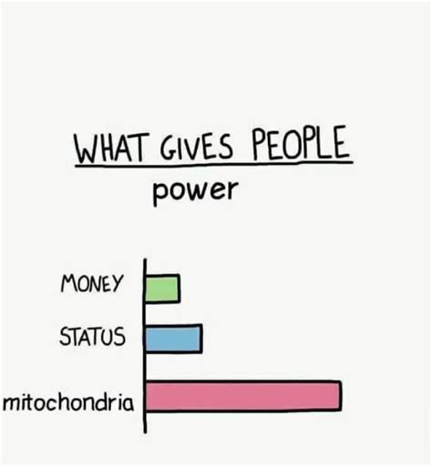 Biology Meme 的图像结果