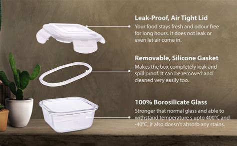 Buy SOPL-OLIVEWARE Roman Glass Lunch Box, Insulated Fabric Bag, Leak ...