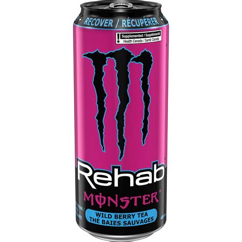 Monster Rehab Energy Drink Wild Berry Tea, 458 ml – Giant Tiger