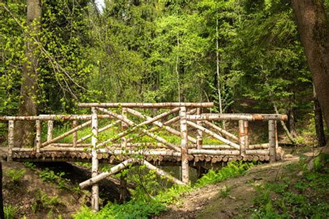 Image result for Homemade Log Bridge
