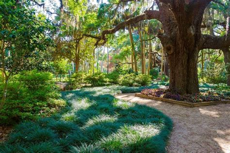 10 Best Beaches in St. Augustine - What Is the Most Popular Beach in St ...