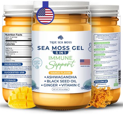 Amazon.com: TrueSeaMoss Wildcrafted Irish Sea Moss Gel – Nutritious Raw ...