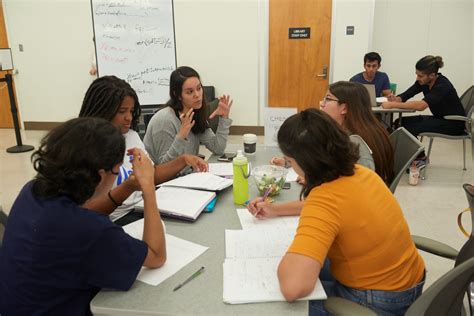 Learning Assistant Tutorial 的图像结果