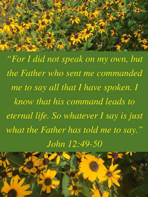 My Strength: John 12:49-50 - "The More I Seek You" | I have spoken ...