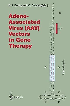 Buy Adeno-associated Virus (AVV) Vectors in Gene Therapy: v.218 ...