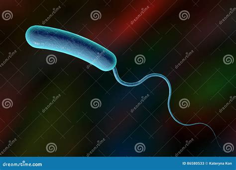 Bactéria Dos Cholerae Do Vibrio Ilustração Stock - Ilustração de organismo, epidemia: 86580533