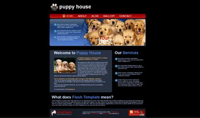 宠物之家响应式网站模板免费下载-前端模板-php中文网源码