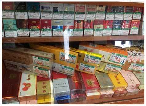 Changing Behaviour: Blindness to Risk and a Critique of Tobacco Control ...