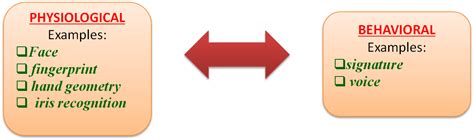 Image result for Types of Identifiers