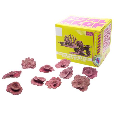 Real Reef Live Rock