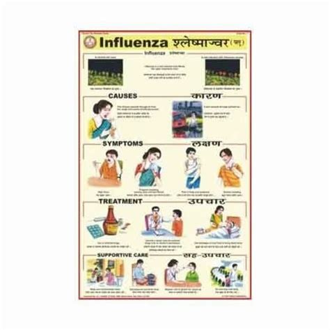 Human Diseases Charts - Deficiency Diseases Charts Distributor ...