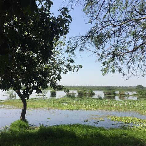 MURCHISON TREEHOUSE (Murchison Falls National Park) - Lodge Reviews ...